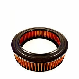 Filtro Aria Sprint Filter C225S